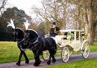 K R M Horse Drawn Carriage Services 1100883 Image 6